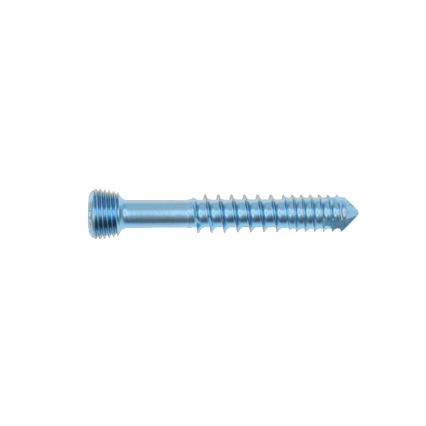 Dynamic Locking Screw